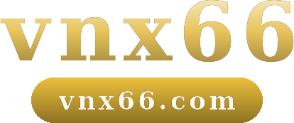 vnx66 logo